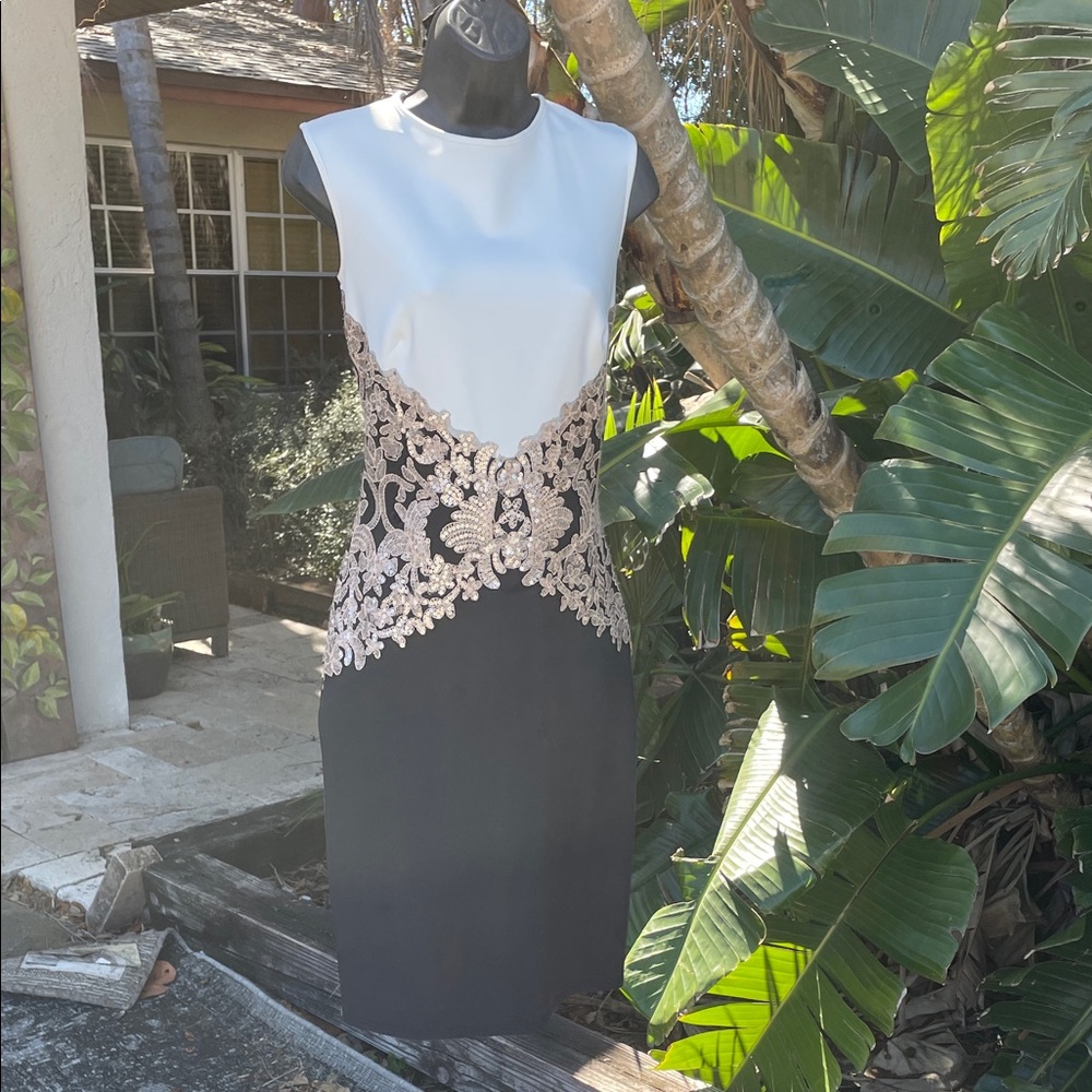 Tadashi Shoji color block sequin lace dress